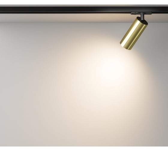 Трековый светильник MAYTONI Focus Led Unity 3000K 12Вт 50 TR021-1-12W3K-W-BBS