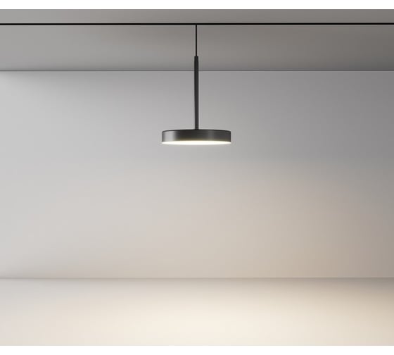 Трековый светильник MAYTONI Plato Exility 4000K 15Вт 120 TR123-2-15W4K-B