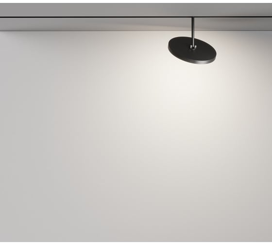 Трековый светильник MAYTONI Plato Exility 4000K 15Вт 120 TR131-2-15W4K-B