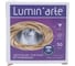 Точечный светильник Lumin'arte MOD01GD-DL50GU5.3 5