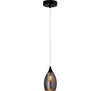 Подвесной светильник ARTE LAMP BARRY A7951SP-1BK