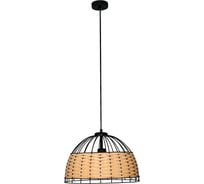 Светильник подвесной ЭЛЕТЕХ Кантри 212 черн.муар НСБ 01-60-180 1005405192