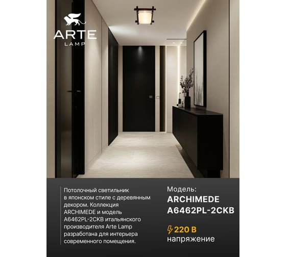 Потолочный светильник ARTE LAMP ARCHIMEDE A6462PL-2CKB