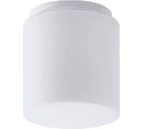 Светильник OSMONT ALKOR 2 LED потолочный/настенный стеклянный 67599