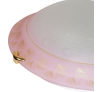 Светильник настенно-потолочный ЭЛЕТЕХ Роса 300 НПБ 01-2x60-139 М16 розовый /кл.золото ИУ [es] 1005202495