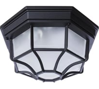 Светильник настенно-потолочный ЭЛЕТЕХ Тартаруга НПП 03-100-005 IP65 матовый /корпус с решеткой, черный [ИМ] 1005301193