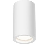 Потолочный светильник MAYTONI Conik gyps C003CW-01W-1