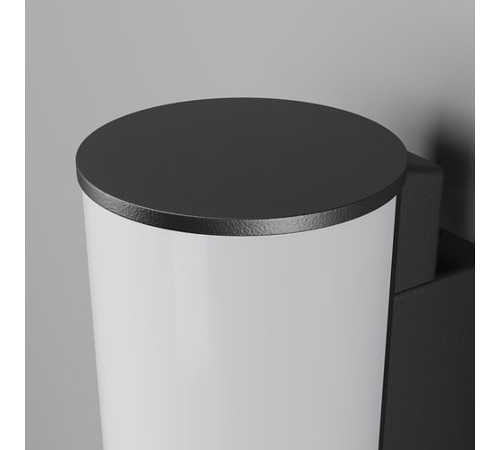 Настенный светильник (бра) MAYTONI Rock O434WL-L12GF3K