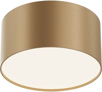 Потолочный светильник MAYTONI Zon C032CL-12W4K-RD-MG