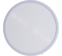 Встраиваемый светильник Ecola LED downlight Круглый даунлайт 50-210mm, 20W 220V 6500K 230x20 DARD20ELC