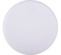 Встраиваемый светильник Ecola LED downlight Круглый безрам даунлайт с драйвером 36W 220V 4200K 225x30 DFRV36ELC