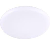 Встраиваемый светильник Ecola LED downlight Круглый безрамочный даунлайт с драйвером 24W 220V 4200K 170x30 DFRV24ELC