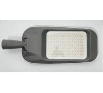 Светодиодный светильник LedNik Street 100 URBAN 155 LN66100065300