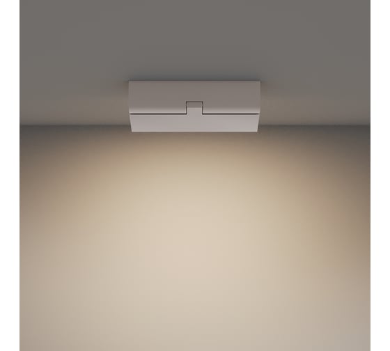 Потолочный светильник MAYTONI Basis Rot C133CL-12W3K-W