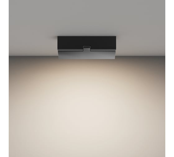 Потолочный светильник MAYTONI Basis Rot C133CL-12W4K-B