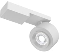 Потолочный светильник MAYTONI Treo C062CL-L12W4K