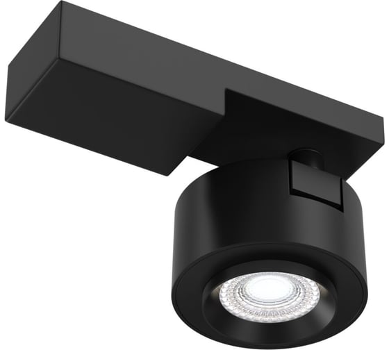 Потолочный светильник MAYTONI Treo C062CL-L12B4K