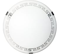 Светильник настенно-потолочный ЭЛЕТЕХ Этруска 250 НПБ 01-60-130 М15 матовый белый /кл.штамп металлик [ИМ] 1005206095