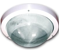 Светильник ЭЛЕТЕХ Селена 1 НПП 03-100-001 IP65 корпус белый [ИМ] 1005500125