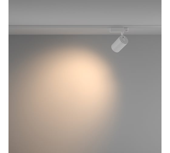 Трековый светильник MAYTONI Vuoro Trinity 3000K, 20Вт, 60 TR029-3-20W3K-W-W
