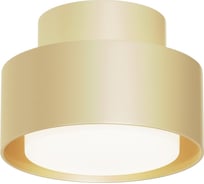 Потолочный светильник MAYTONI Space C092CL-GX53-MG