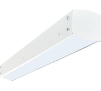 Светильник светодиодный линейный EKF ДБО 1101-0600 Опал 27Вт 4000К 600x60x55 IP40 TBL-1101-0600-O-27-4000-40