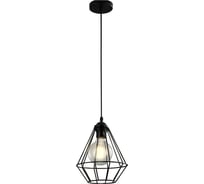Подвесная люстра IMEX лофт 1х60Вт E27 MD.1704-1-P BK