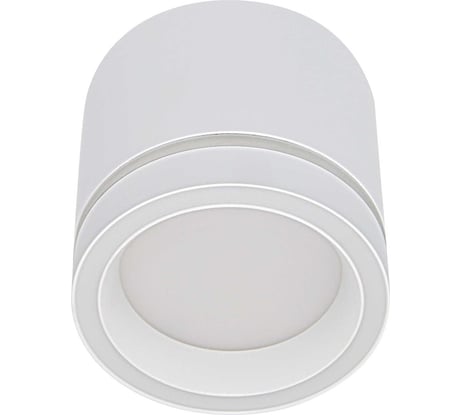 Накладной cветильник Wolta Luce, корпус под лампу GX53, максимальная мощность 20Вт, 83х60 мм, IP20, Белый WSL-GX53/06W