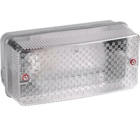 Светильник IEK НПП-60w, прямоугольный, без решетки, IP54, IEK LNPP0-3006-1-060-K01