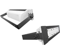 Уличный светодиодный светильник LADesign LAD LЕD R500-1-120-6-55L LADLED1LS655L