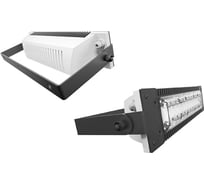 Уличный светодиодный светильник LADesign LAD LЕD R500-1-10-6-55L LADLED110655L