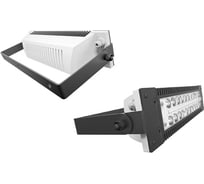 Уличный светодиодный светильник LADesign LAD LЕD R500-1-M-6-55L LADLED1M655L