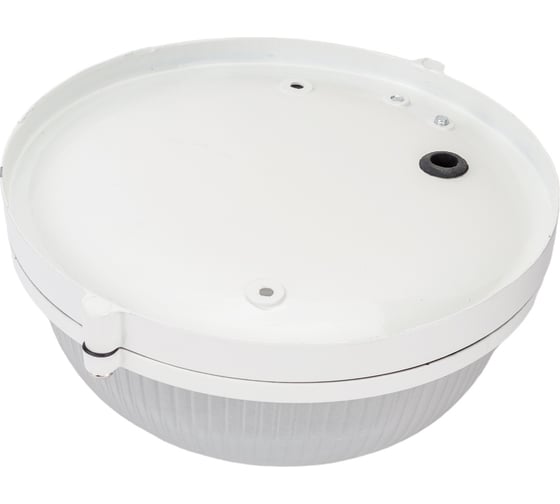 Светильник IEK НПП/НПБ, 1301, белый, круг, 60Вт, IP54, ИЭК LNPP0-1301-1-060-K01