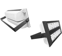 Уличный светодиодный светильник LADesign LAD LЕD R500-2-120-6-110L LADLED2LS6110L