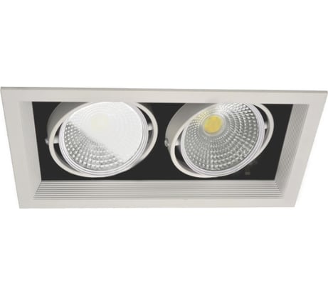 Встраиваемый светильник IMEX карданный LED 2х20W, WH IL.0006.2215