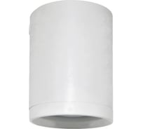 Потолочный светильник-спот IMEX GU10 1х50W Белый IL.0005.5015