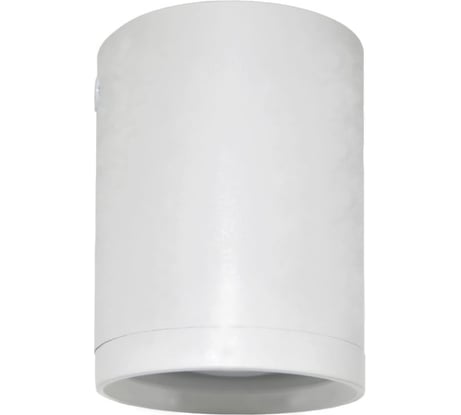 Потолочный светильник-спот IMEX GU10 1х50W Белый IL.0005.5015