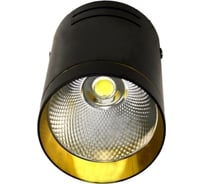 Потолочный светильник спот IMEX LED 1х10W Черный/Золото IL.0005.7000