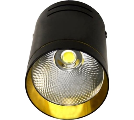 Потолочный светильник спот IMEX LED 1х10W Черный/Золото IL.0005.7000