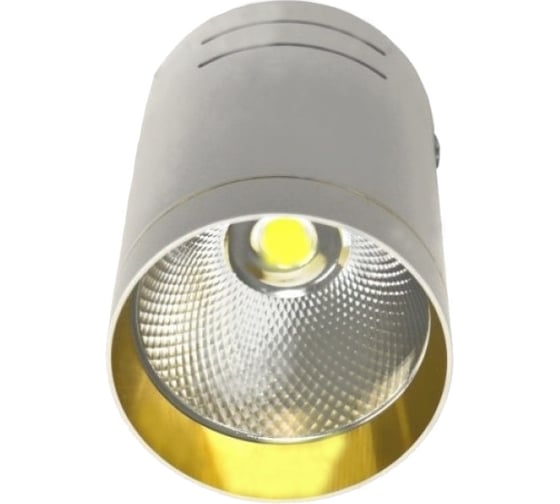 Потолочный светильник-спот IMEX LED 1х10W Белый/Золото IL.0005.7015 1