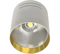 Потолочный светильник-спот IMEX LED 1х15W Белый/Золото IL.0005.7115