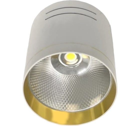 Потолочный светильник-спот IMEX LED 1х15W Белый/Золото IL.0005.7115 1
