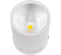 Потолочный светильник спот IMEX LED 1х10W Белый IL.0005.4015