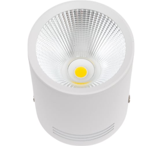 Потолочный светильник спот IMEX LED 1х10W Белый IL.0005.4015