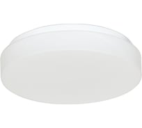 Светодиодный светильник ЭЛЕТЕХ ТабLEDка 220 LED 18 опал матовый 220х65, 18Вт, 6000К, IP44 1030450333