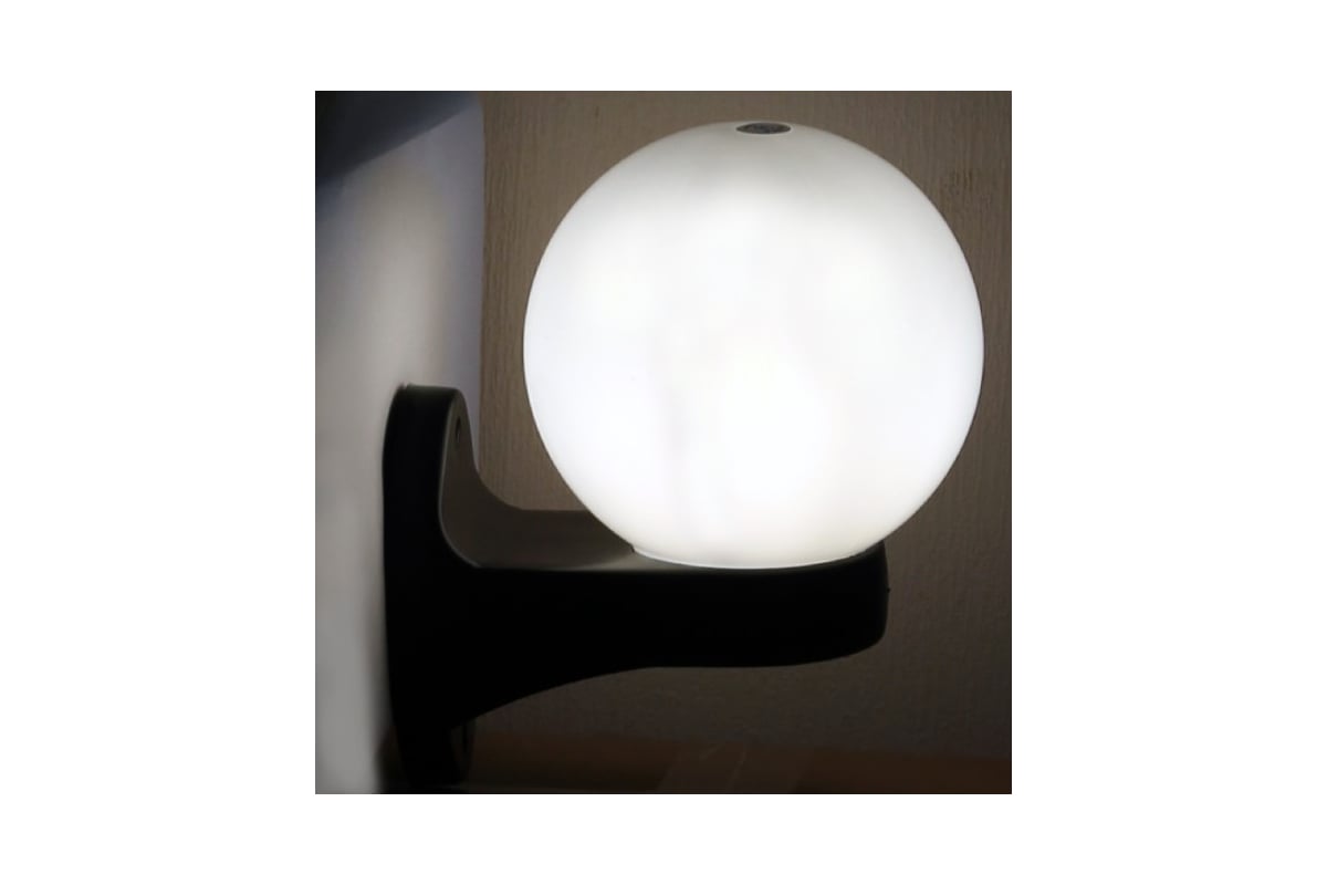 Светильник ЭЛЕТЕХ Шар 160 НБУ 06-40-01 опал IP44/корпус черный ...