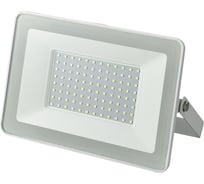 Светодиодный прожектор General Lighting Systems 100Вт 6850Лм 6500К Холодный белый свет IP65 Белый GTAB-100BT-IP65-6500-W 403129