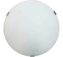 Светильник ЭЛЕТЕХ Контур, 250, НПБ, 01-60-130, М15, глянцевый белый/клипса штамп, металлик, ИУ 1005205918