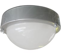 Светильник ЭЛЕТЕХ НББ-03-60-003 Терма 3, металлик, индивидуальная упаковка 1005500582