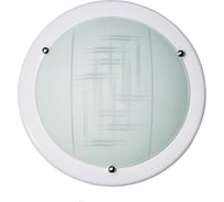 Светильник ЭЛЕТЕХ Элегант 250 НПБ 01-60-126 М03 матовый белый, корпус белый 1005205592